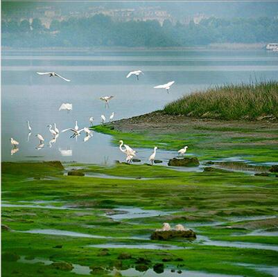 Ӫҵ��ģ��ɭ����̬ϵ��������ۡ�ʪ����̬ϵͳ��������ۡ���ԭ��̬ϵͳ���������
����������Լ�������ۡ�������Դ���������