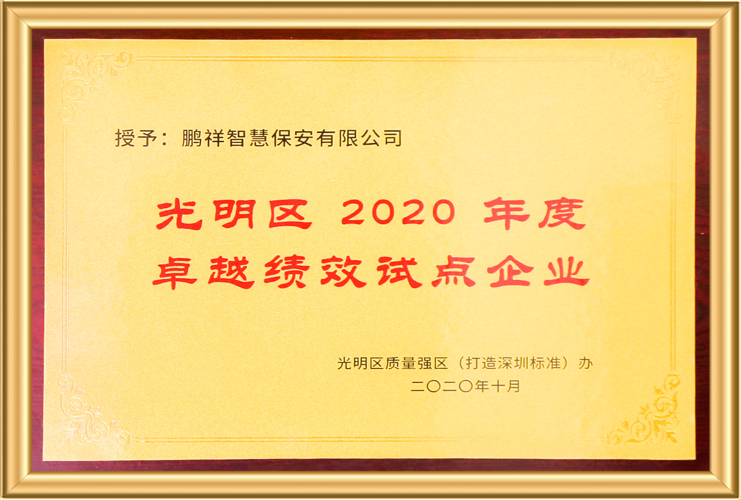 光明区2020年度卓越绩效试点企业 97国际-至尊品牌,源于诺言