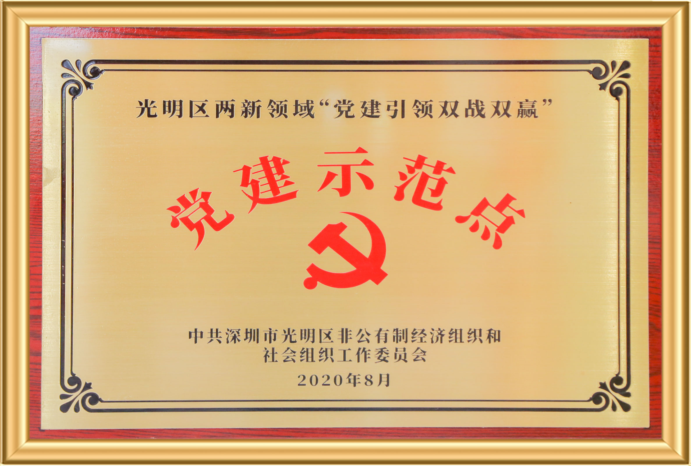 光明区党建示范点 97国际-至尊品牌,源于诺言